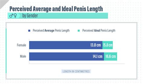 measured pornstars|Comparing The Average Penis Size And Pornstar Penis Size [2024].